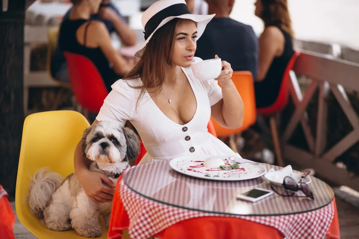 Angerichtetes Gericht in einem Restaurant